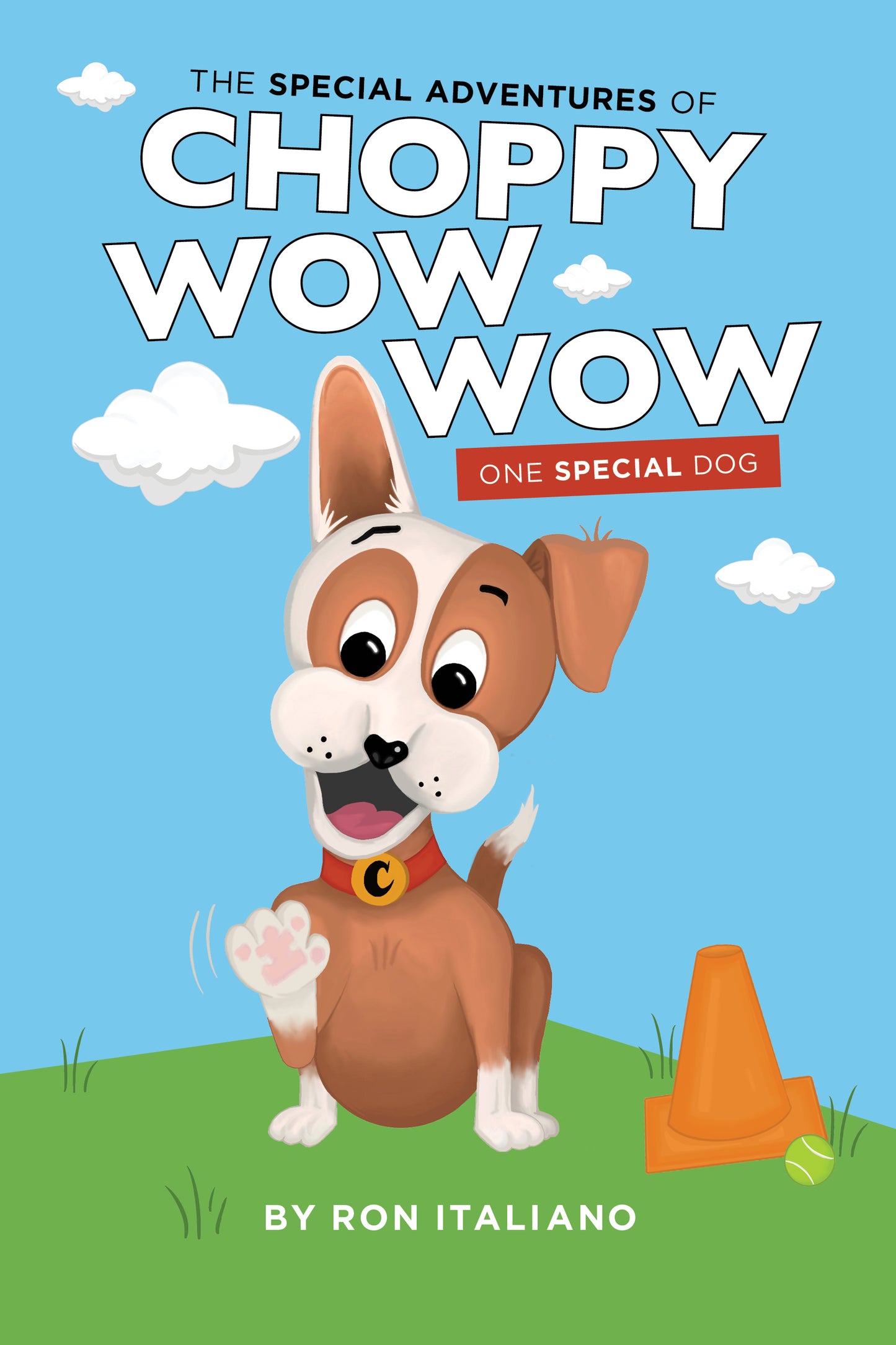 The Special Adventures of Choppy Wow Wow: One Special Dog